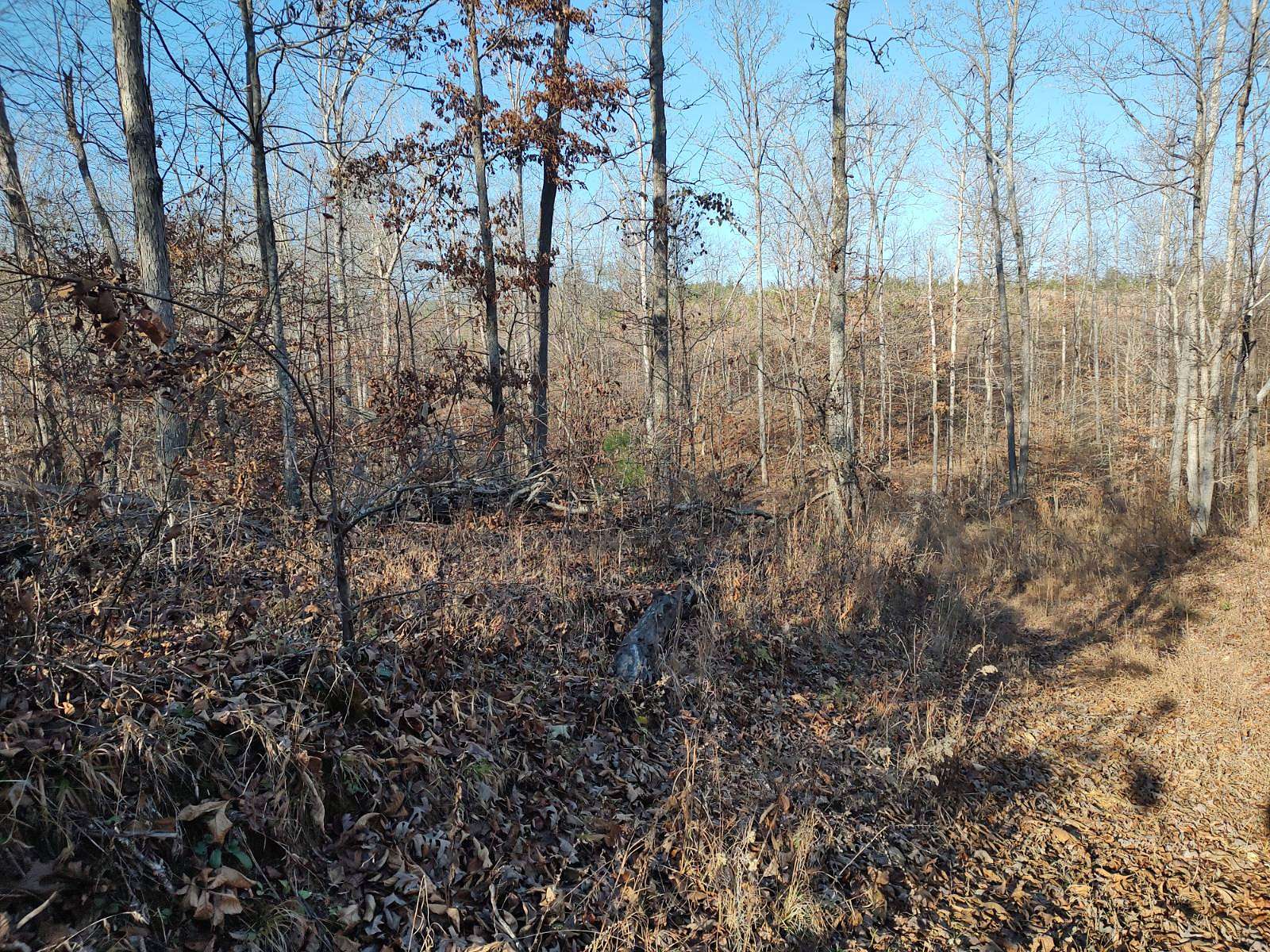 9.5 Acres of Land for Sale in Dover, Tennessee