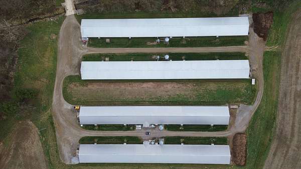 65 Acres of Agricultural Land for Auction in Jeromesville, Ohio