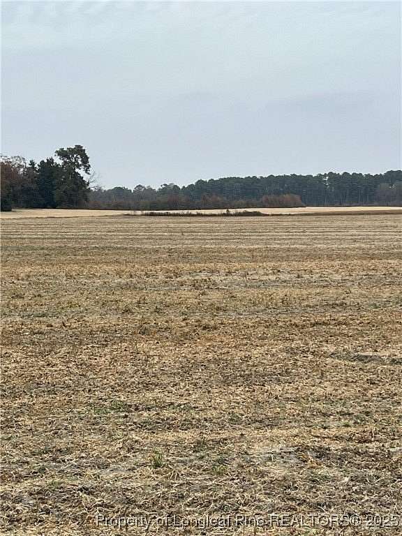 9 Acres of Residential Land for Sale in Red Springs, North Carolina
