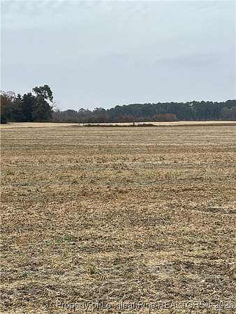 9 Acres of Residential Land for Sale in Red Springs, North Carolina