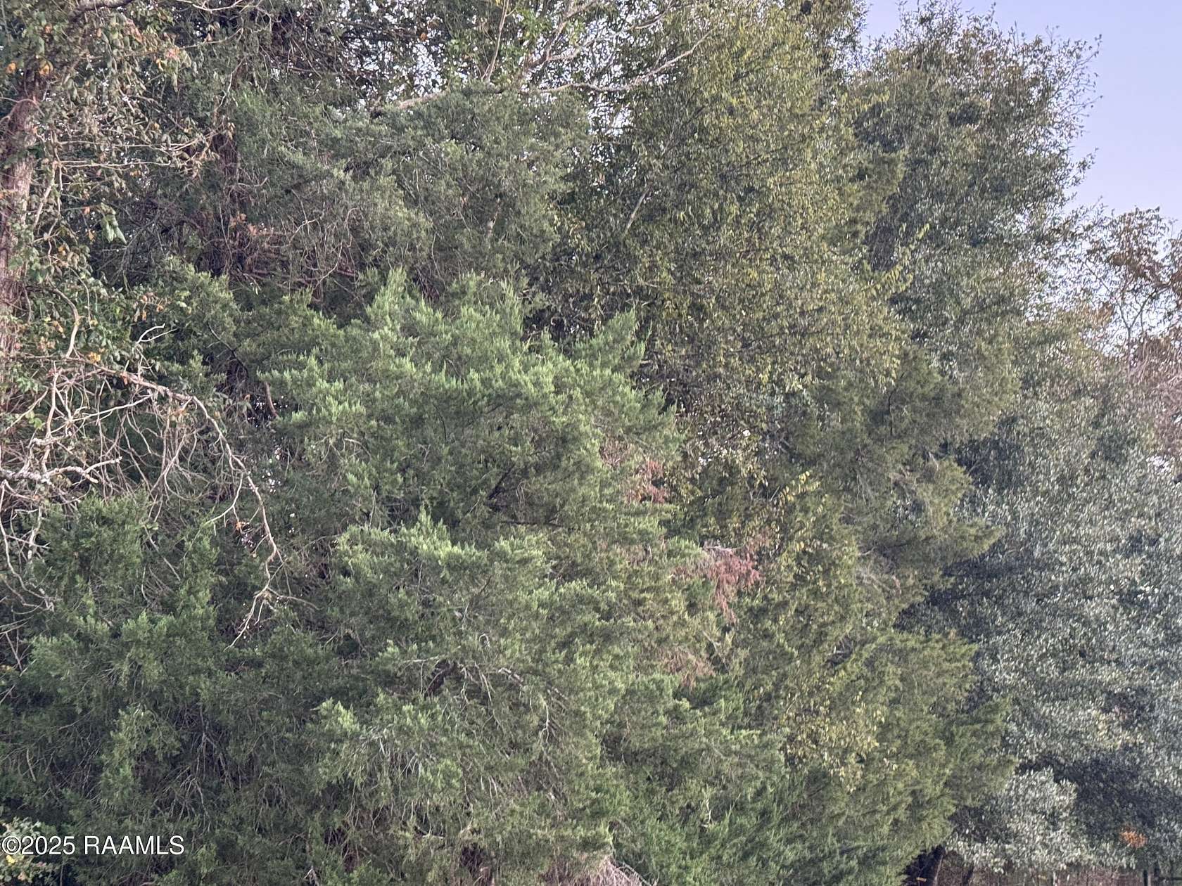 4 Acres of Residential Land for Sale in Opelousas, Louisiana