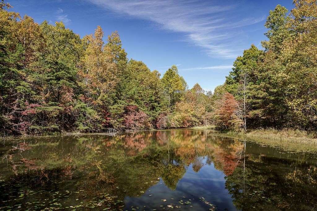 8.13 Acres of Land for Sale in Monterey, Tennessee