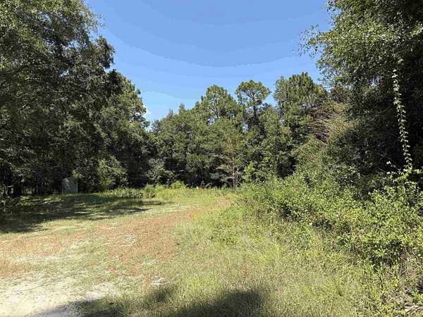 0.59 Acres of Land for Sale in Tallahassee, Florida