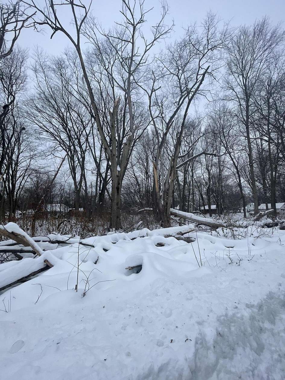 0.62 Acres of Land for Sale in Three Rivers, Michigan