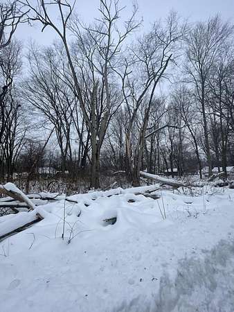 0.62 Acres of Land for Sale in Three Rivers, Michigan