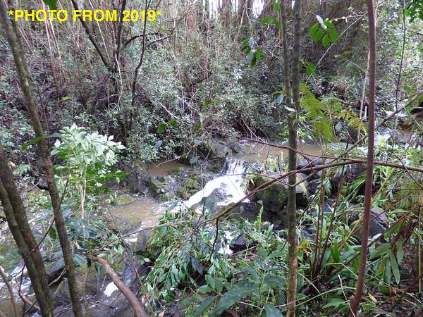 2 Acres of Residential Land for Sale in Honokaa, Hawaii