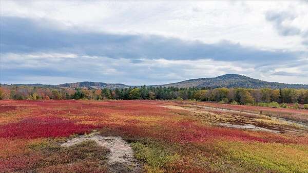 170 Acres of Land for Sale in Northport, Maine