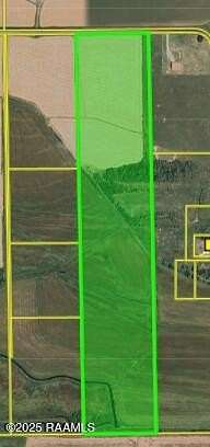 70 Acres of Land for Sale in Gueydan, Louisiana