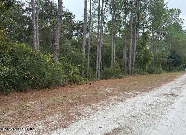 5 Acres of Residential Land for Sale in Georgetown, Florida