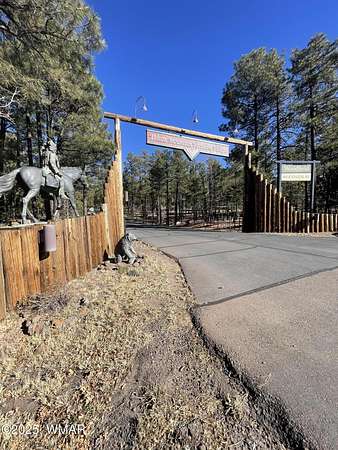 0.06 Acres of Residential Land for Sale in Show Low, Arizona