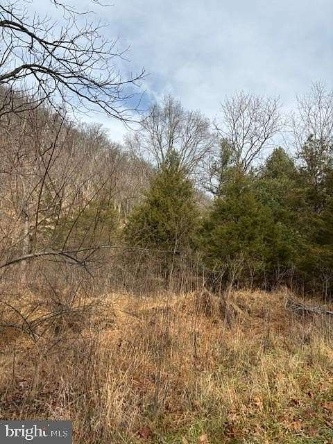 6.16 Acres of Residential Land for Sale in Lost City, West Virginia