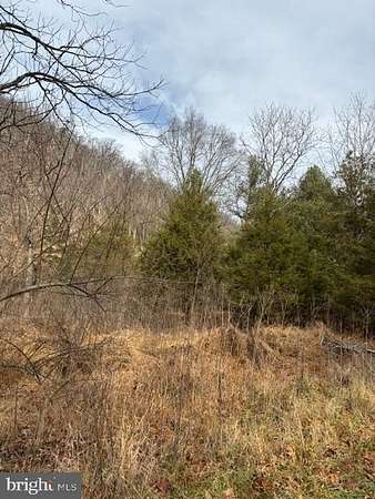 6.16 Acres of Residential Land for Sale in Lost City, West Virginia