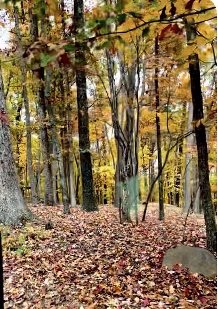 3.7 Acres of Residential Land for Sale in Hardy, Virginia