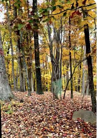 3.7 Acres of Residential Land for Sale in Hardy, Virginia