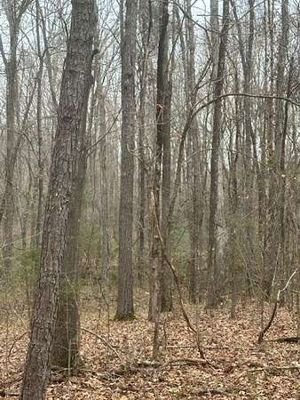 32.1 Acres of Recreational Land for Sale in Tuscumbia, Alabama