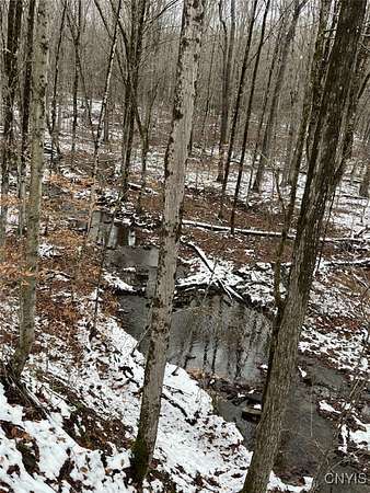 20.8 Acres of Recreational Land for Sale in Canaseraga, New York