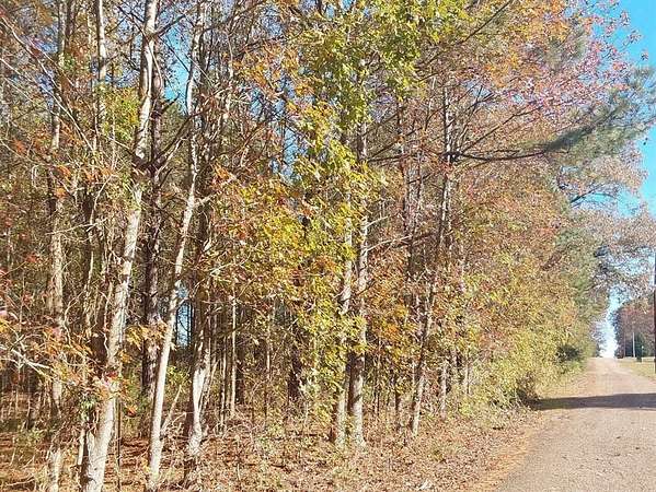 3 Acres of Residential Land for Sale in McLeod, Texas