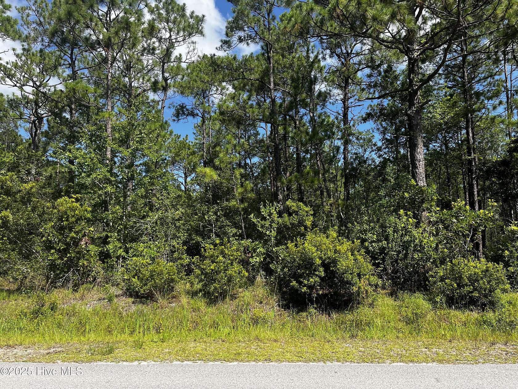 0.25 Acres of Commercial Land for Sale in Boiling Spring Lakes, North Carolina