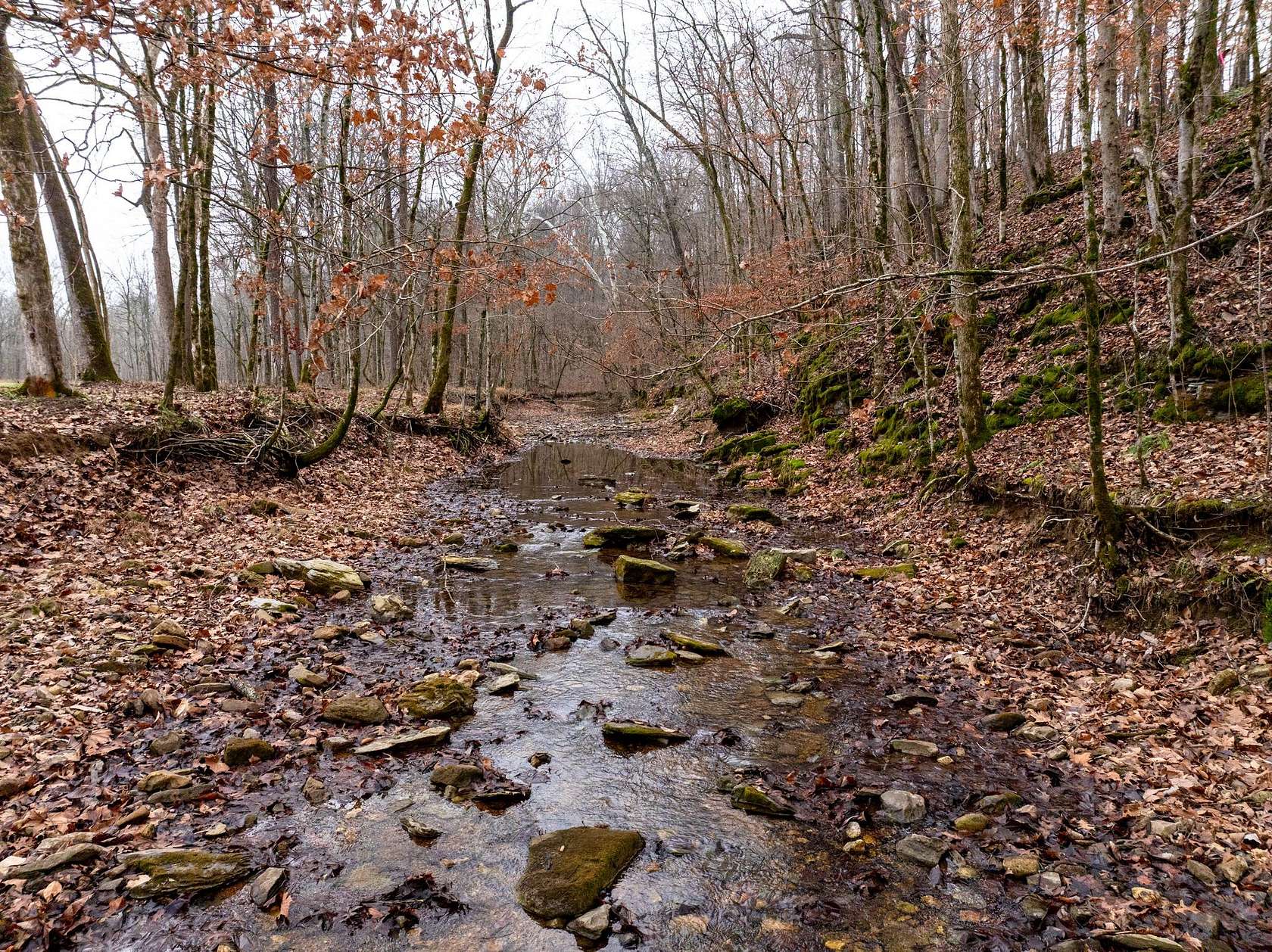 6.37 Acres of Land for Sale in Cumberland Furnace, Tennessee