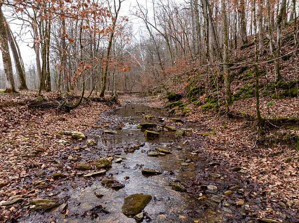 6.37 Acres of Land for Sale in Cumberland Furnace, Tennessee