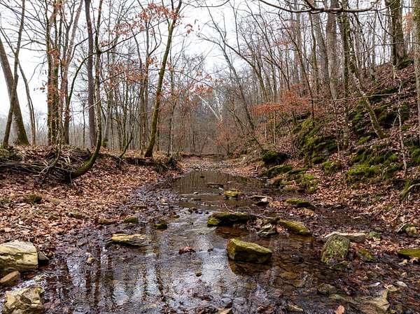 7 Acres of Land for Sale in Cumberland Furnace, Tennessee