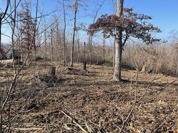 0.53 Acres of Residential Land for Sale in Lobelville, Tennessee