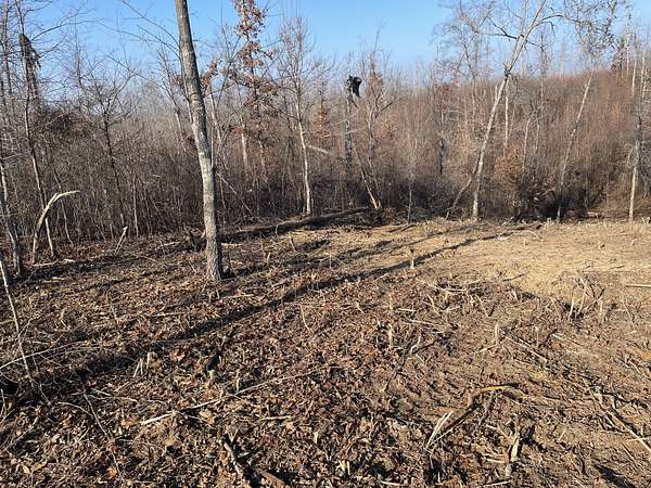 0.46 Acres of Residential Land for Sale in Lobelville, Tennessee