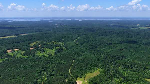 17.3 Acres of Land for Sale in Dover, Tennessee