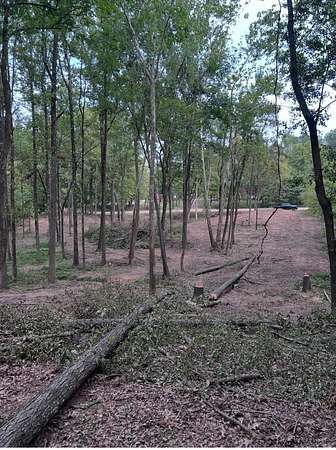 2.68 Acres of Residential Land for Sale in Lakeland, Tennessee