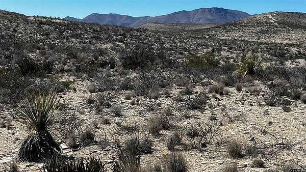 20 Acres of Recreational Land for Sale in Terlingua, Texas