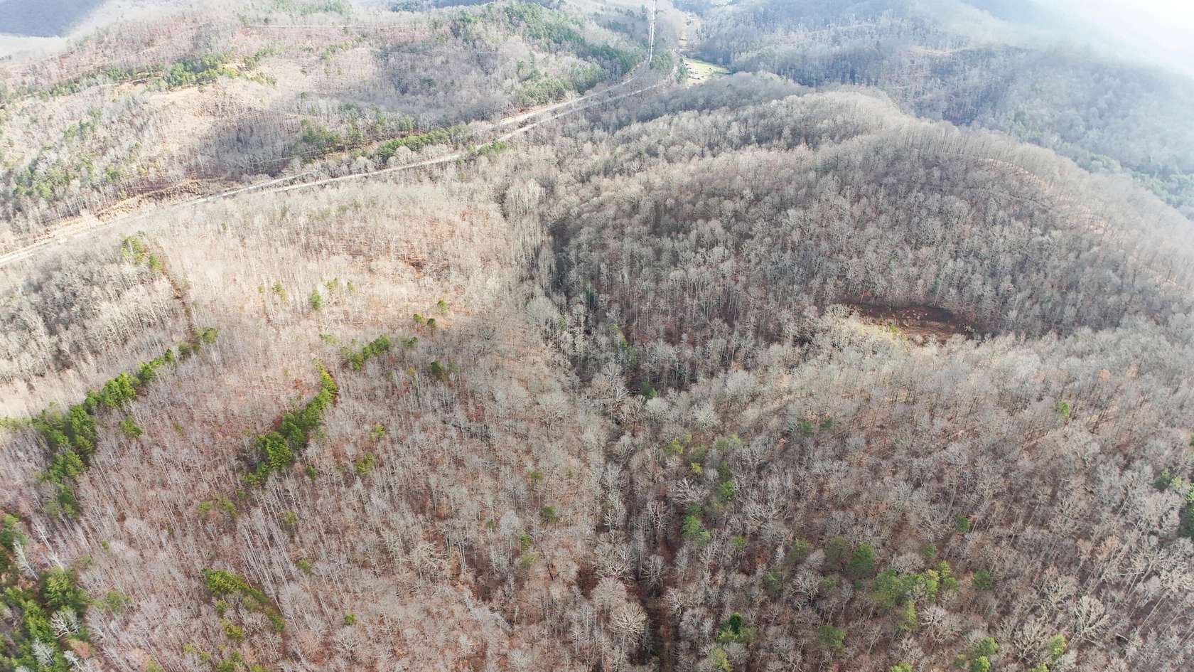 42 Acres of Recreational Land for Sale in Gray, Kentucky