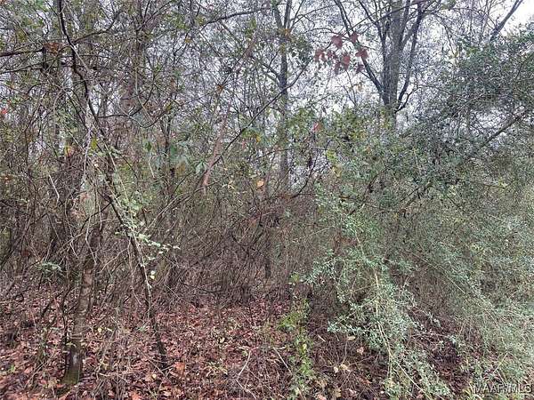 4.1 Acres of Land for Sale in Selma, Alabama