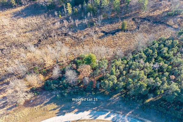 0.51 Acres of Residential Land for Sale in Stanwood, Michigan