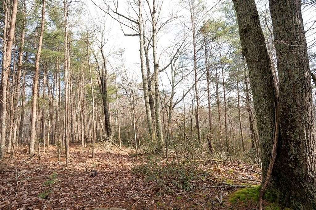2 Acres of Residential Land for Sale in Jasper, Georgia