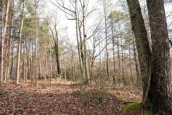 2 Acres of Residential Land for Sale in Jasper, Georgia