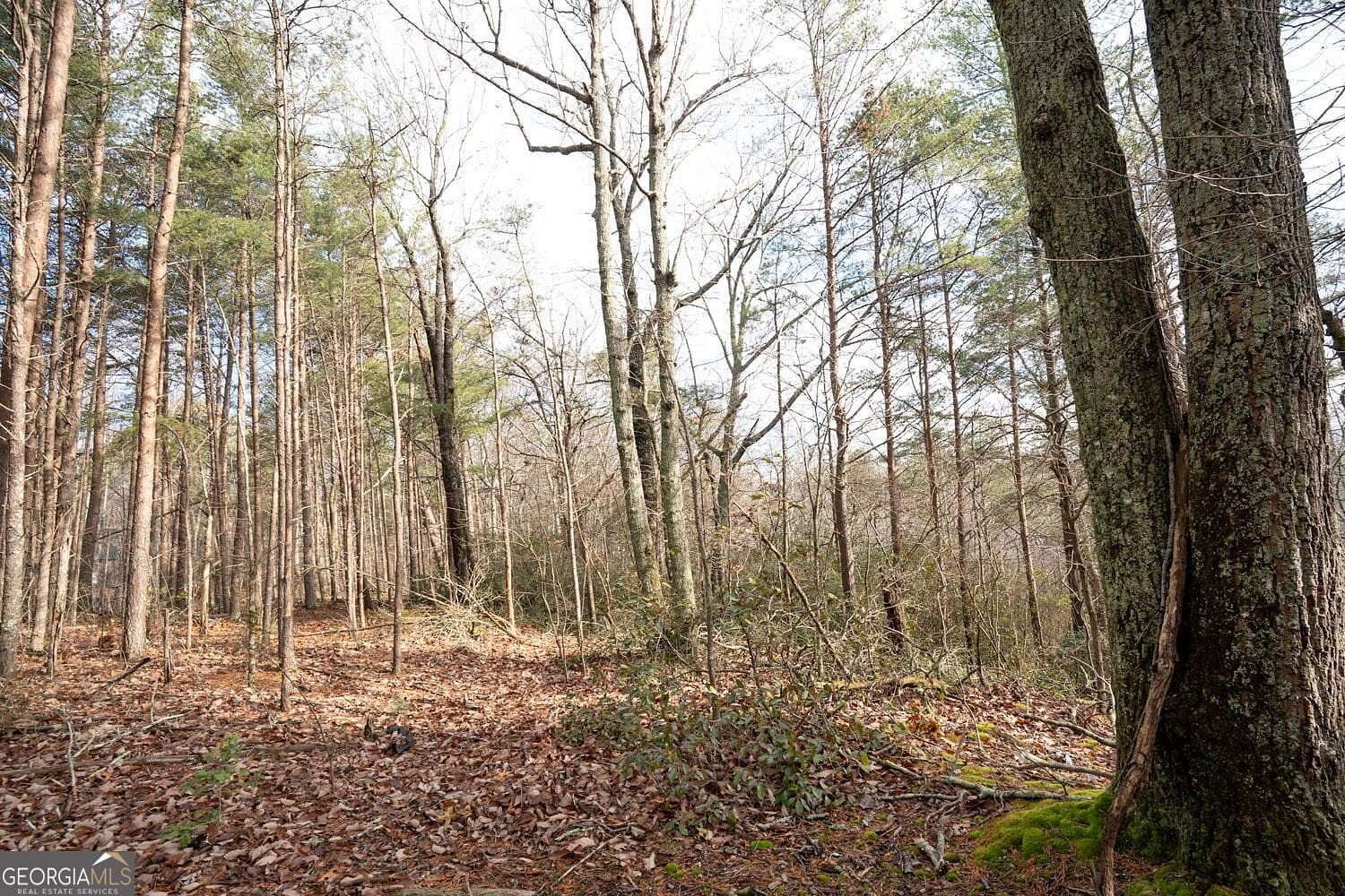 2 Acres of Residential Land for Sale in Jasper, Georgia