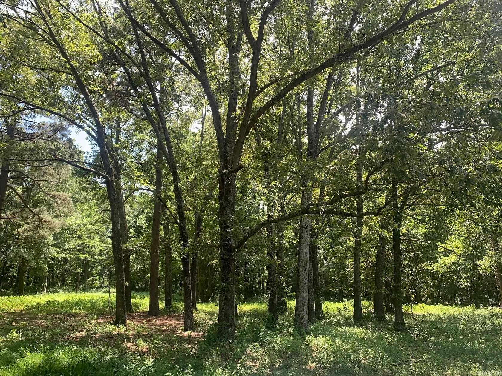 5 Acres of Residential Land for Sale in Austin, Arkansas