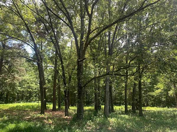 5 Acres of Residential Land for Sale in Austin, Arkansas