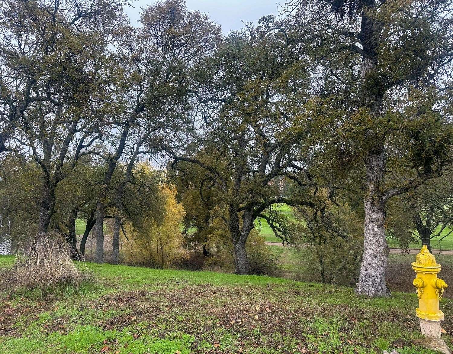 0.28 Acres of Residential Land for Sale in Valley Springs, California