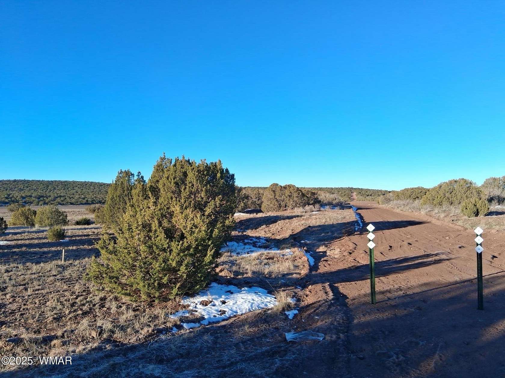 1.1 Acres of Residential Land for Sale in Concho, Arizona