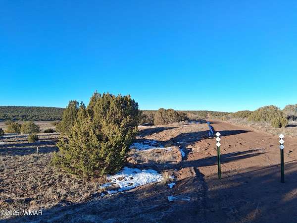1.1 Acres of Residential Land for Sale in Concho, Arizona
