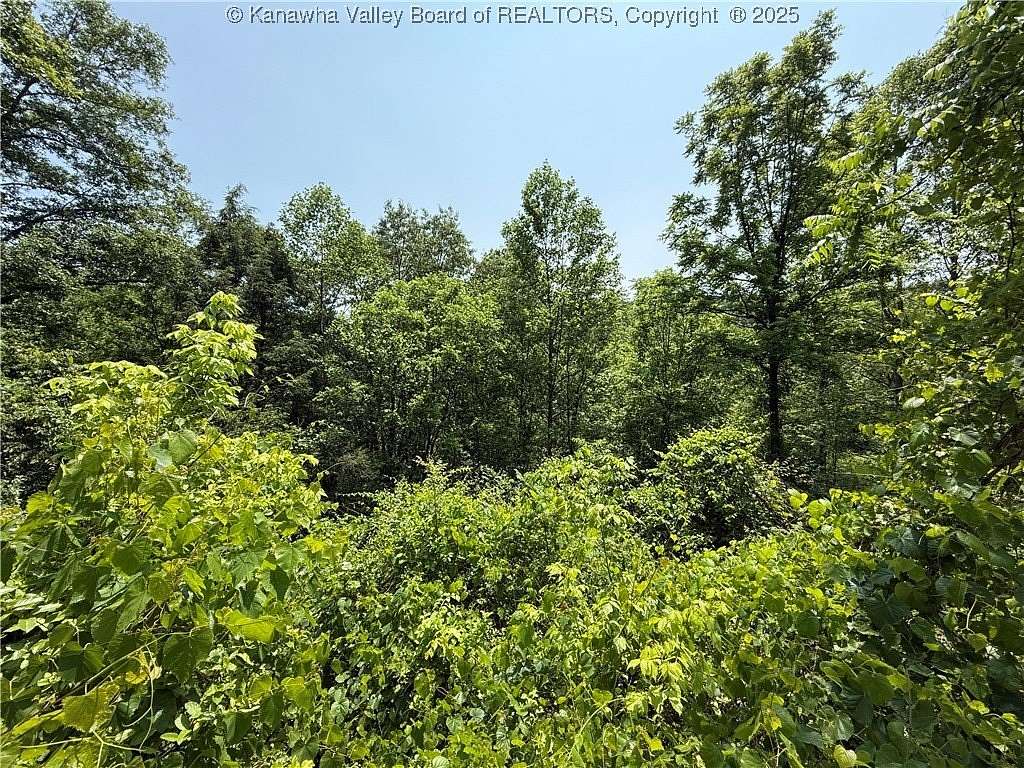 1.7 Acres of Residential Land for Sale in Charleston, West Virginia