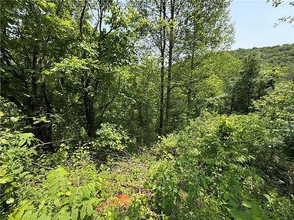 0.74 Acres of Residential Land for Sale in Charleston, West Virginia