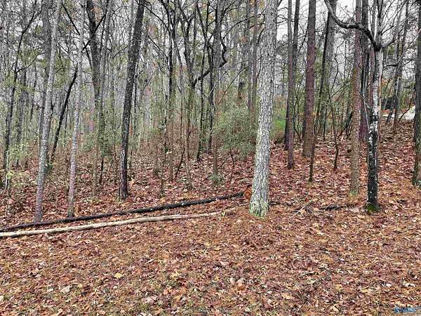 0.8 Acres of Land for Sale in Gadsden, Alabama