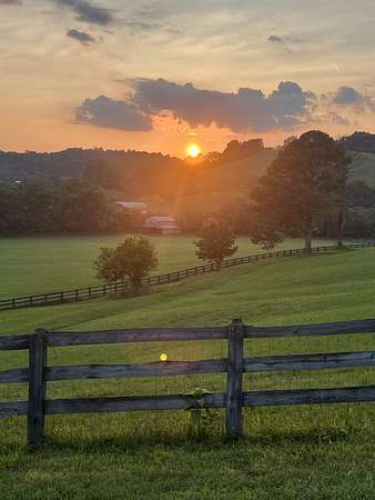 45 Acres of Agricultural Land with Home for Sale in Lynnville, Tennessee