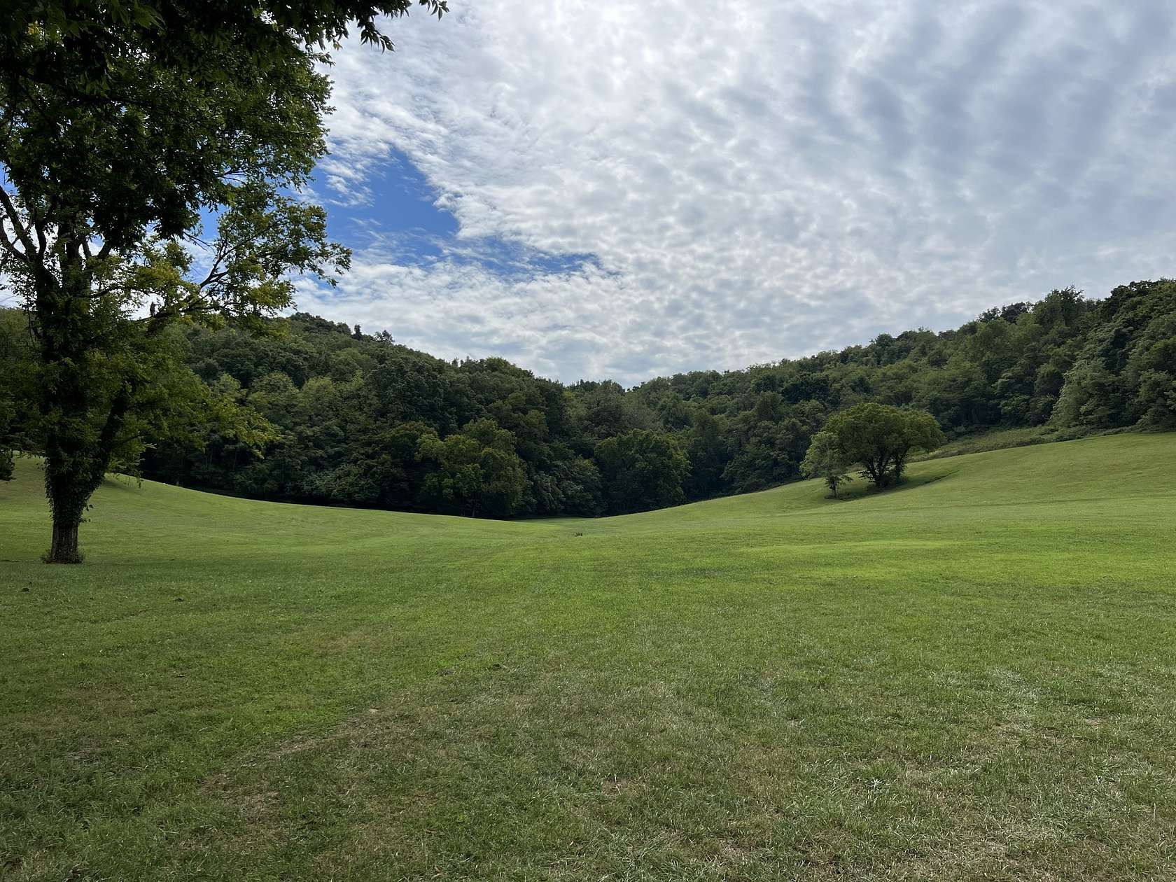 62.5 Acres of Land for Sale in Eagleville, Tennessee