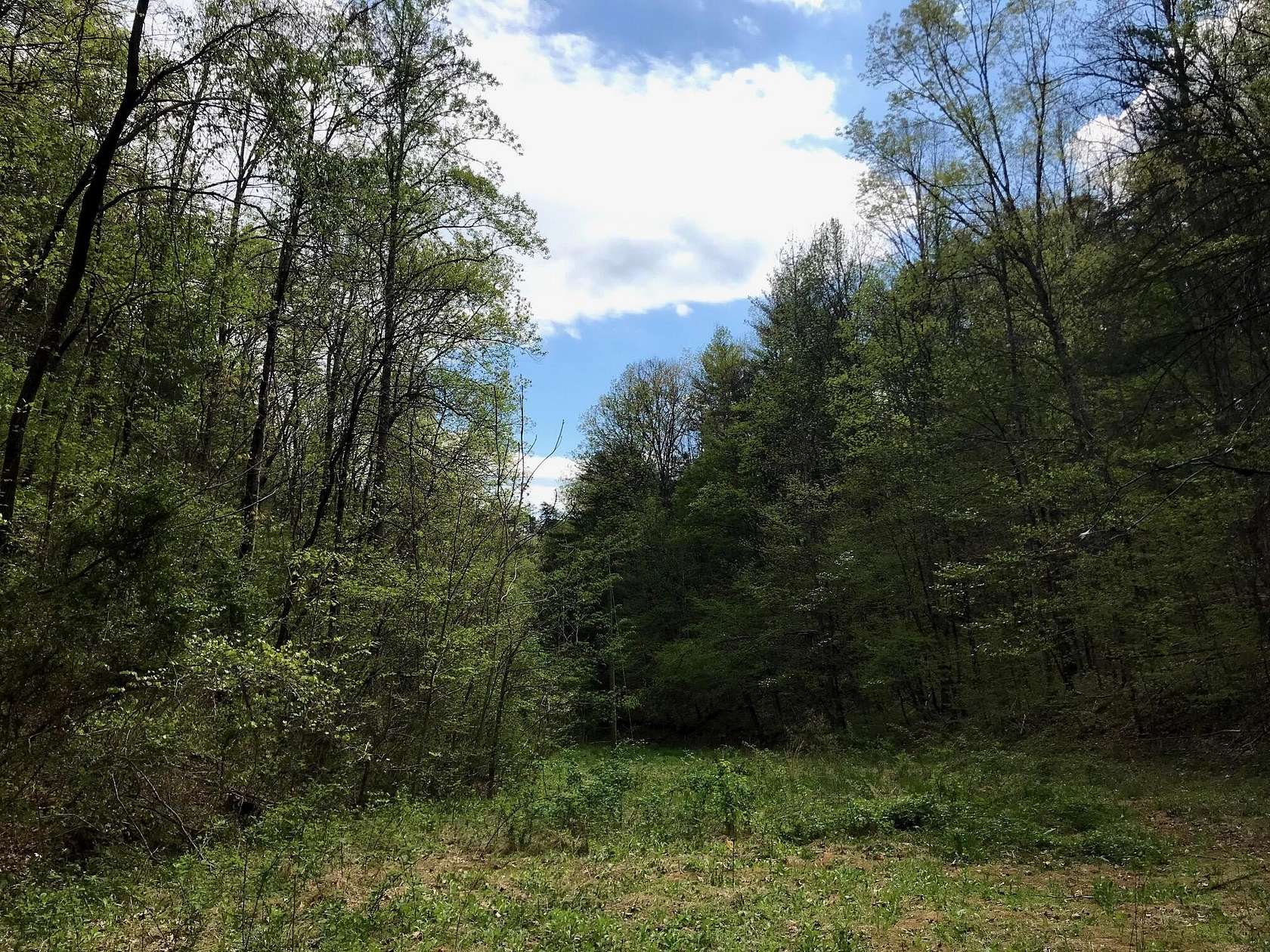 21 Acres of Recreational Land for Sale in Tellico Plains, Tennessee