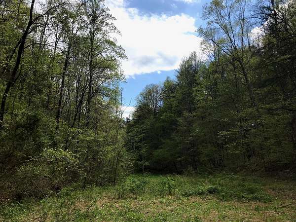 21 Acres of Recreational Land for Sale in Tellico Plains, Tennessee