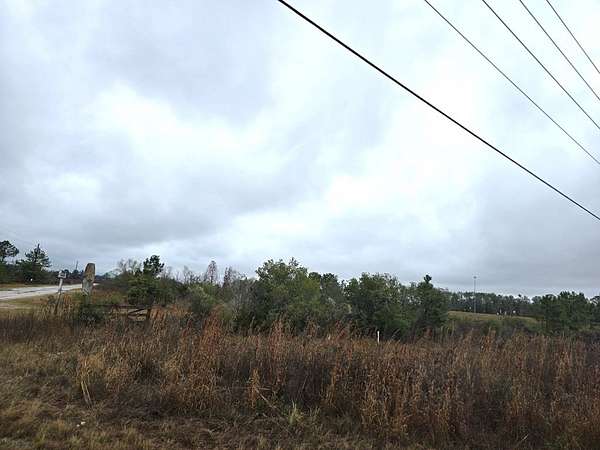 391 Acres of Mixed-Use Land for Sale in Valdosta, Georgia