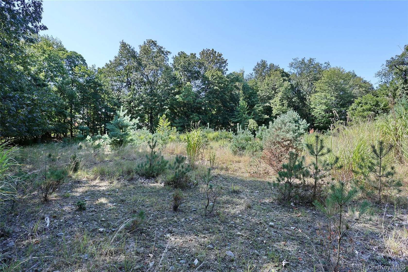 0.88 Acres of Residential Land for Sale in Chestnut Ridge, New York